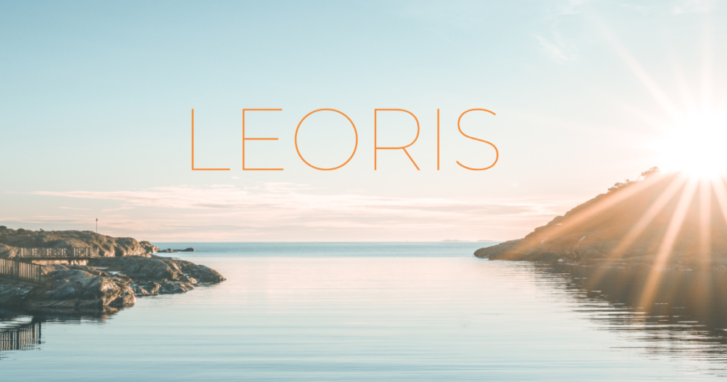 広報・PR戦略支援のLEORIS